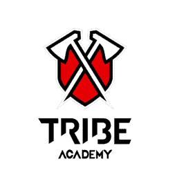 Tribe Academy LATAM