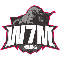 W7M Gaming